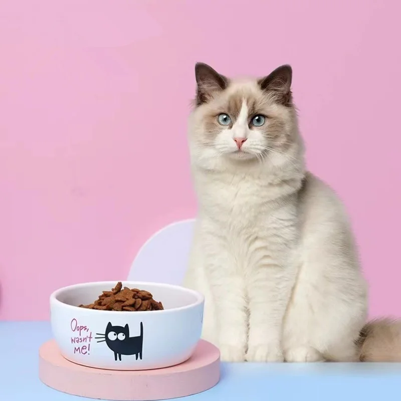 Royal Canin Food Medium - Fashion Cartoon Small Black Cat Pet