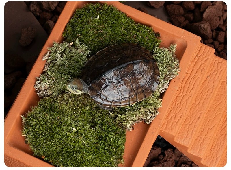Aquarium Turtle Basking Platfo - огляд і ціна Hide Cave Ceramic