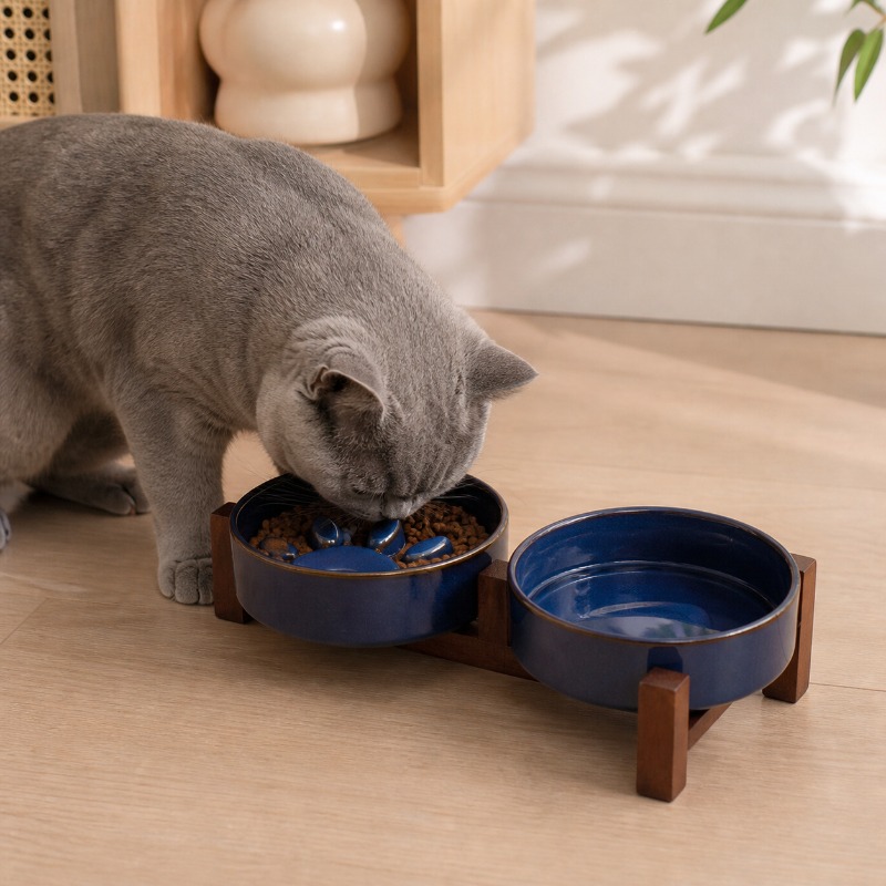 Japanese-style Kiln Ceramic Pe - огляд і ціна Royal Canin Food Medium